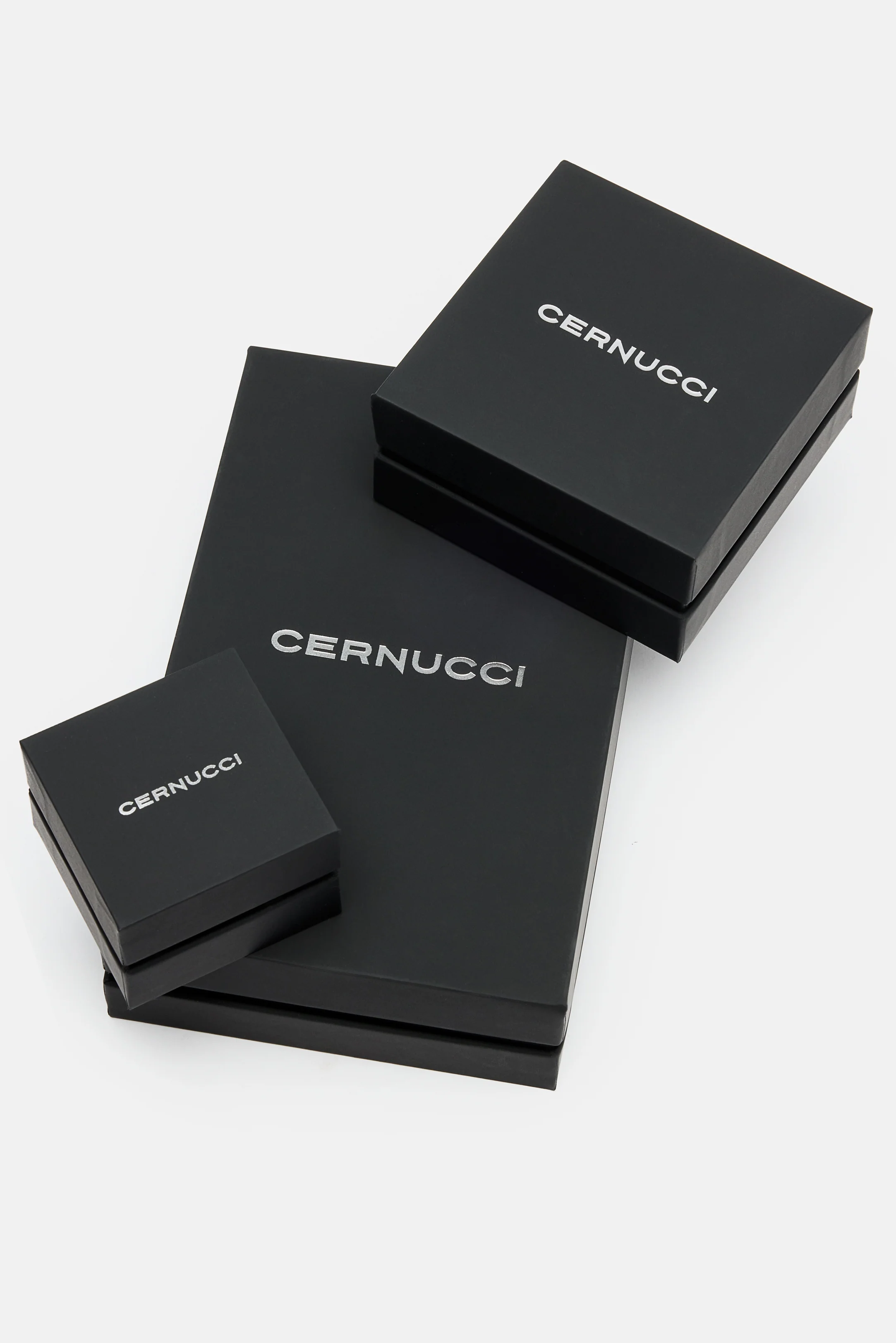 SMALL PREMIUM CERNUCCI BOX - Image 4